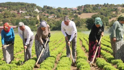 Kocaeli’de tarıma 1 milyar TL’lik destek