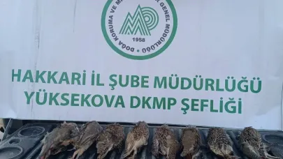 DKMP ekipleri kaçak keklik avlayan şahsa cezai işlem uyguladı