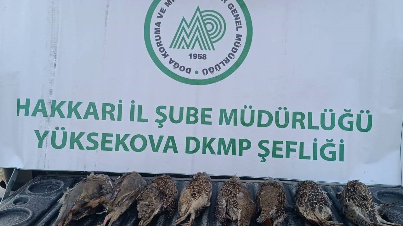 DKMP ekipleri kaçak keklik avlayan şahsa cezai işlem uyguladı