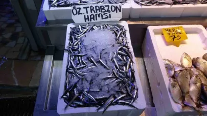 Balıkçılarda erken gelen hamsinin Türk karasularını erken terk edeceği endişesi