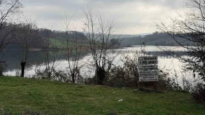 Eşini öldüren müzisyenin davasında adli tıp raporu beklenecek