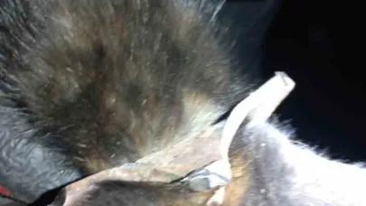 Zonguldak’ta yürekleri ısıtan kurtarma