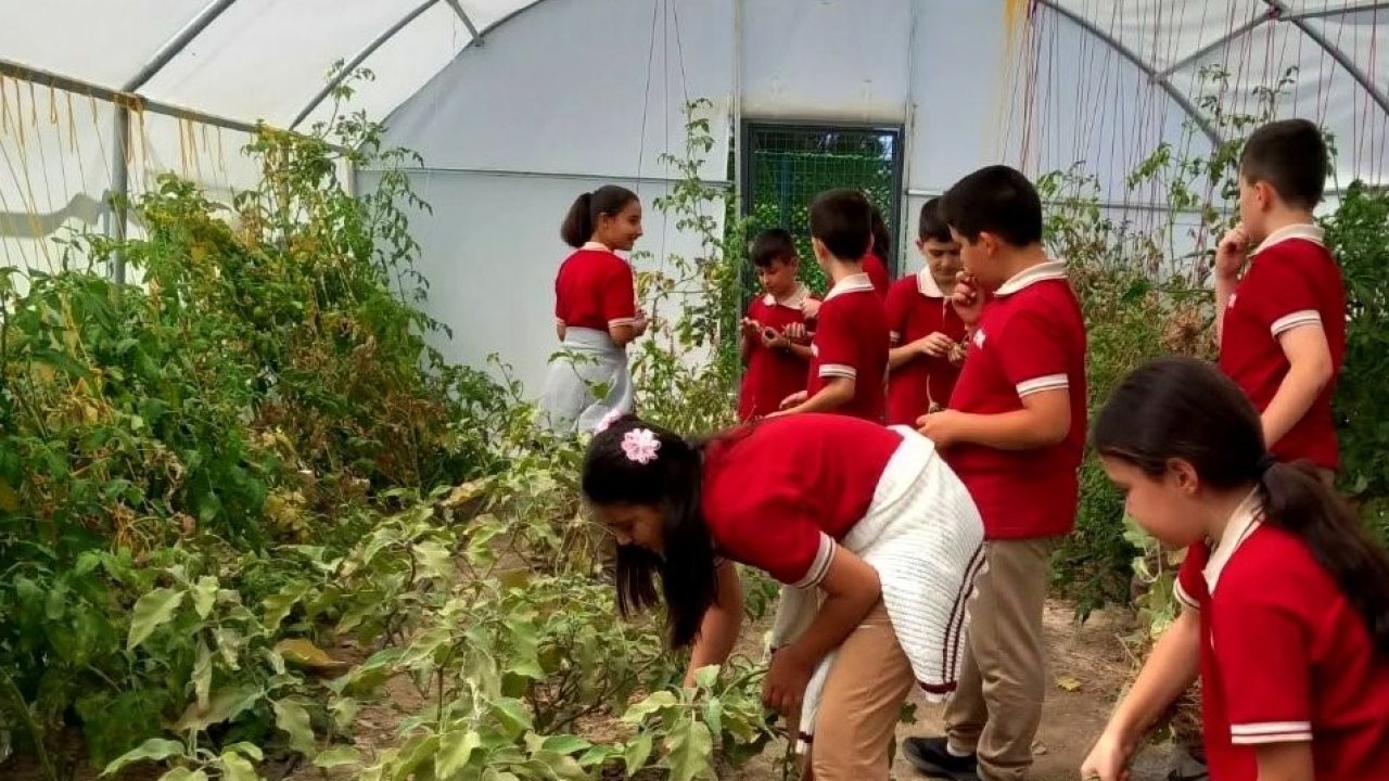 Erzincan’da öğrenciler serada kış sebzelerinin ekimine başladı