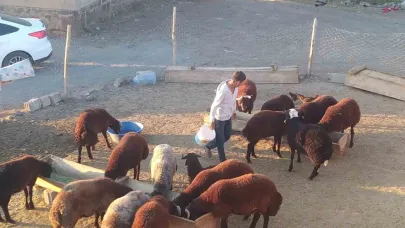 Patnos’ta besiciler kış hazırlığını sürdürüyor