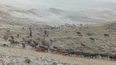 Erzurum’da yüksek kesimlere kar yağdı