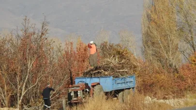 Köylerde kışlık odun hazırlığı