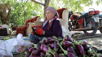 Gaziantepli kadınların kurutmalık mesaisi devam ediyor