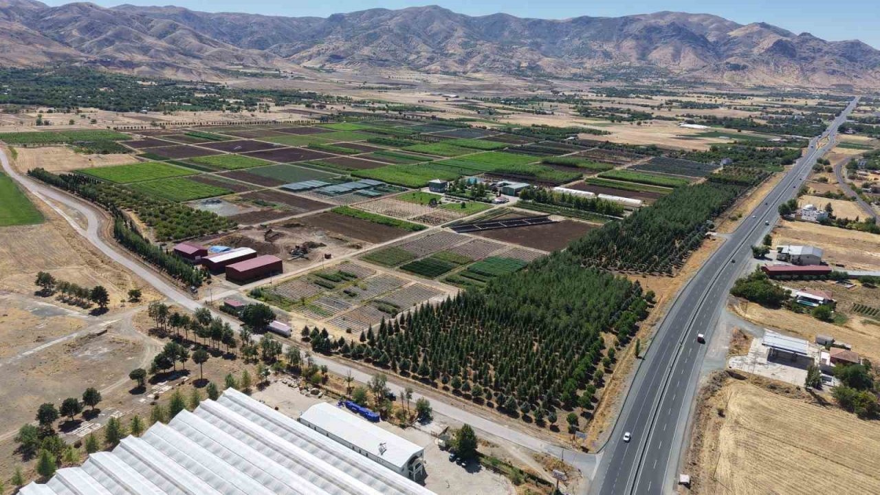 Elazığ’da üretilen milyonlarca fidan, ülkeye nefes oluyor