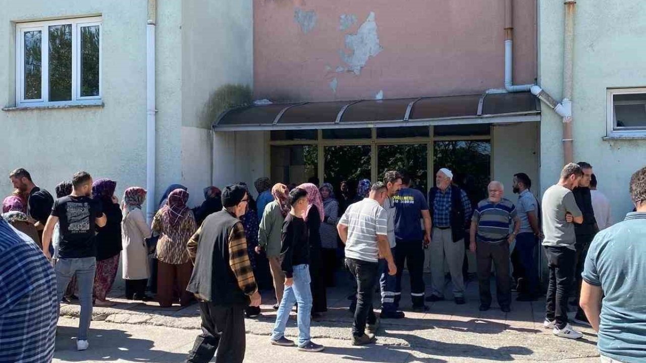 Ceviz toplarken elektrik akımına kapılarak hayatını kaybetti