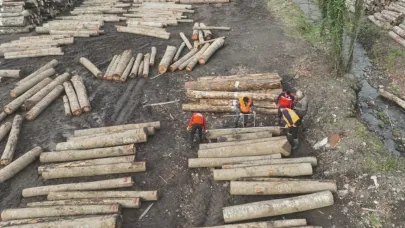 Düzce’den 9 bin 967,5 ton orman ürünü ihraç edildi