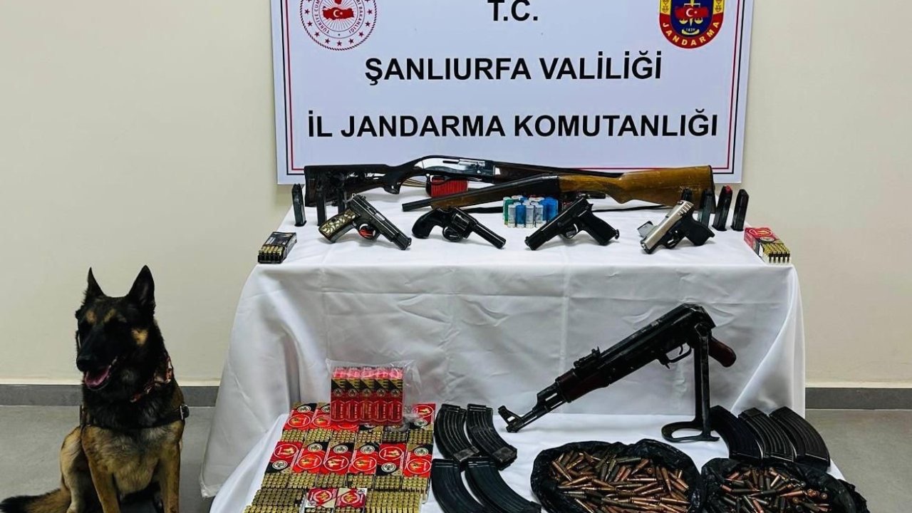 Şanlıurfa’da ruhsatsız silah operasyonu