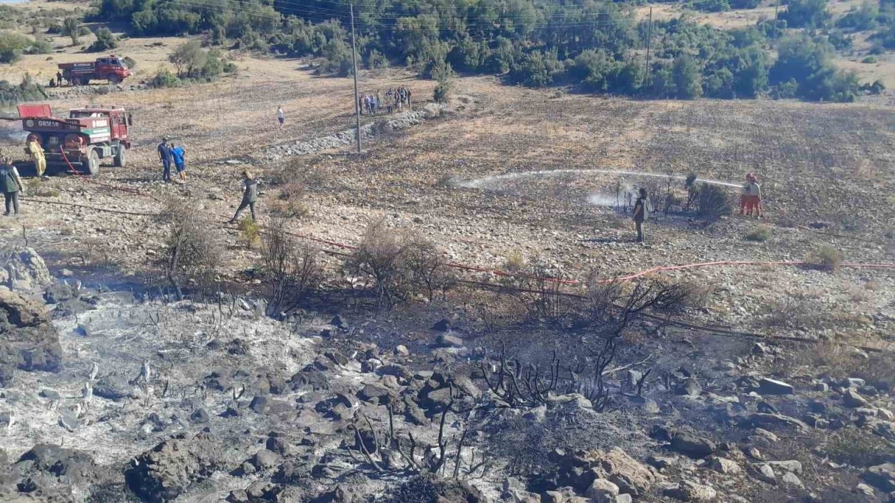 Menteşe’de çıkan yangın kontrol altına alındı
