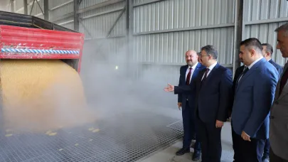 Iğdır'da  Mısır Alımları Başladı