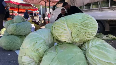 Erzincan’da turşuluk ve yemeklik lahanalar tezgahta yerini aldı