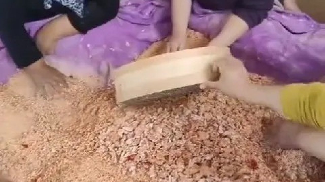 Sinop’ta kadınlar imece usulü tarhana yapımına başladı