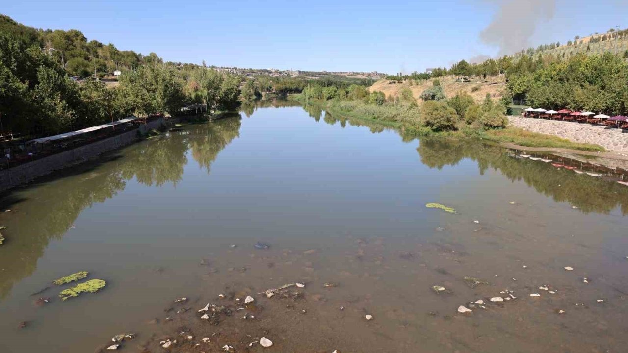 Dicle Nehri’nde balık ölümleri görüldü