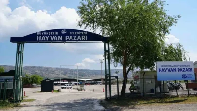 Şap hastalığı sebebiyle Büyükşehir Hayvan Pazarı kapatıldı