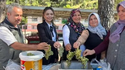 İklime Dirençli Ormancılık Projesi