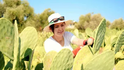 Bahçeyi kurarken alay konusu oldular, şimdi 10 ton ürünün tamamını yurt dışına veriyorlar