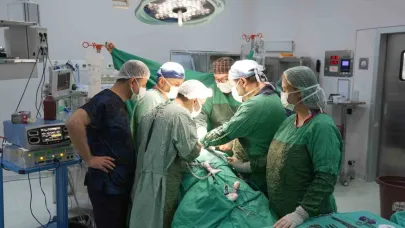 3 santimetrelik böbrek tümörü parsiyel nefrektomi ile çıkartıldı