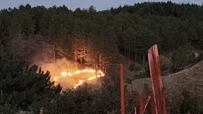 Bingöl’de çıkan orman yangını kontrol altına alındı