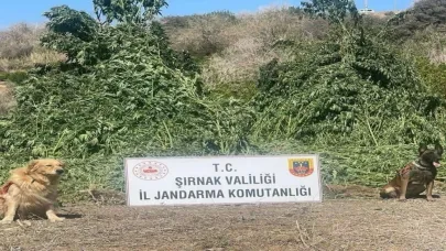 Şırnak’ta 11 milyon liralık kaçakçılık olayı önlendi