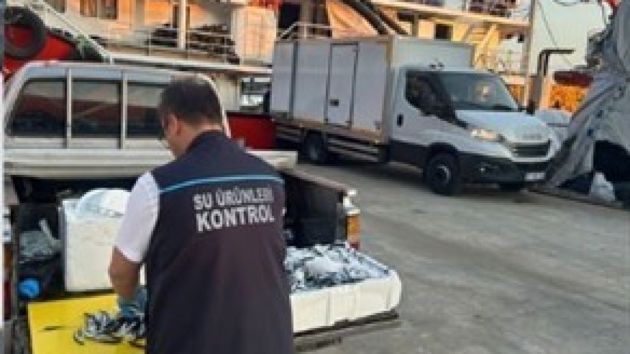 Trabzon’da usulsüz hamsi çıkışına 37 bin TL ceza
