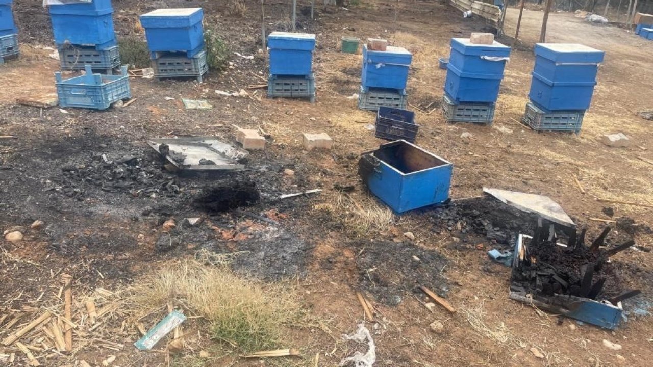 Yangın mağduru arıcılara Bursa Büyükşehirden kovan desteği