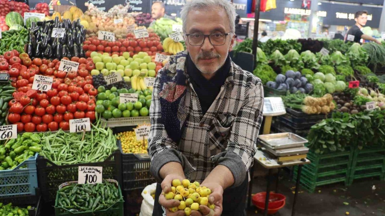 Kalp dostu ’alıç’ meyvesi tezgâhlardaki yerini aldı