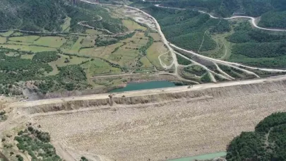 Yok olma tehlikesi bulunan ’bağ havacivası’ bitkisi baraj suları altında kalmaktan kurtarıldı