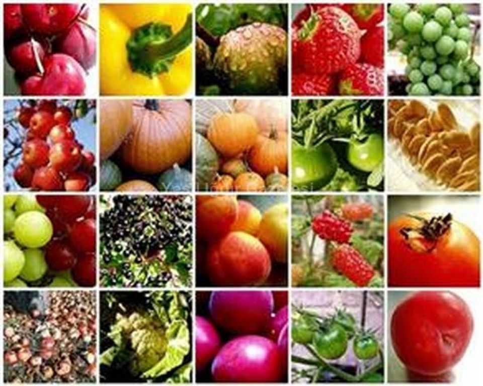 Iğdır'da Sebze ve Meyve Fiyatları Ucuzladı