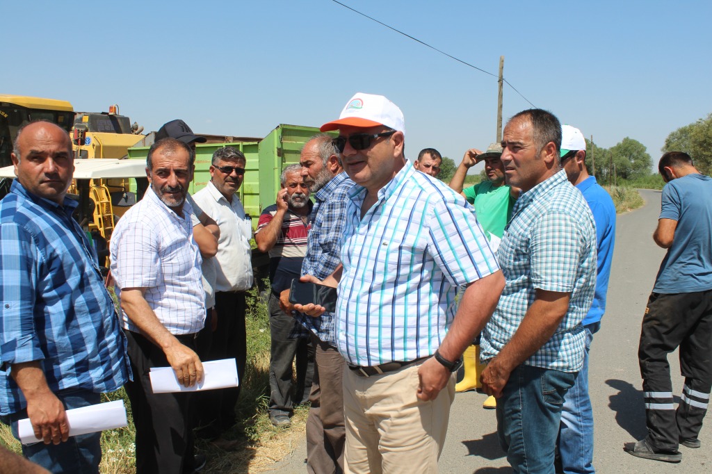 DOĞUNUN ÇUKUROVASINDA BUĞDAY HASADI BAŞLADI