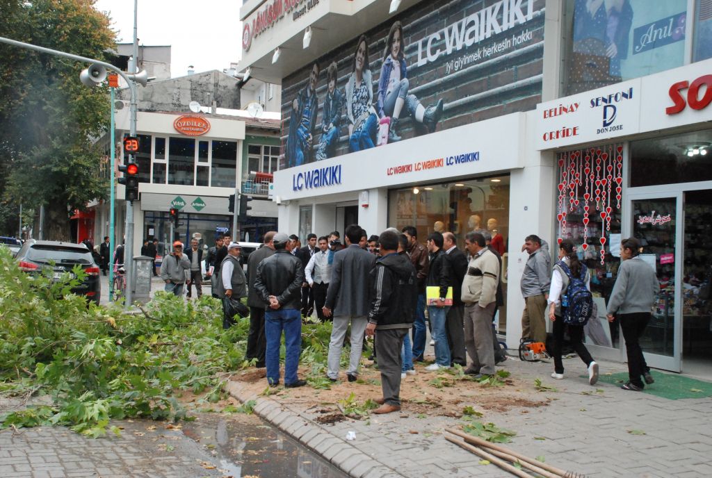 Ağaç kesen belediye ekiplerine vatandaşlar tepki gösterdi