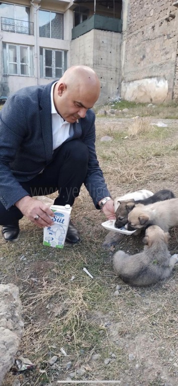 Belediye başkanı yavru köpekleri elleriyle besledi