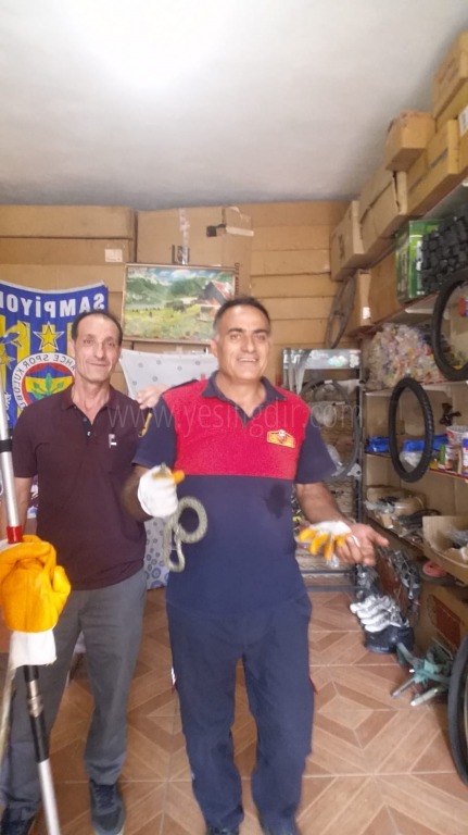YILAN DOĞAYA BIRAKILDI
