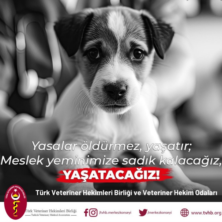 YASALAR ÖLDÜRMEZ YAŞATIR MESLEK YEMİNİMİZE BAĞLI KALACAĞIZ YAŞATACAĞIZ