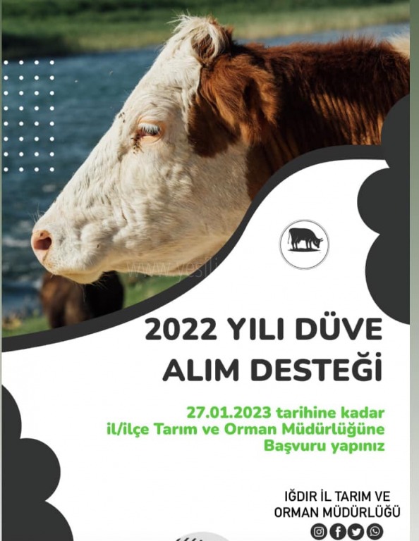ÖZKAN YOLCU DÜVE ALIM DESTEĞİ HAKKINDA BİLGİLENDİRME YAPTI