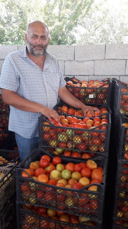 YERLİ ÜRÜN ÇIKTI FİYATLAR DÜŞTÜ