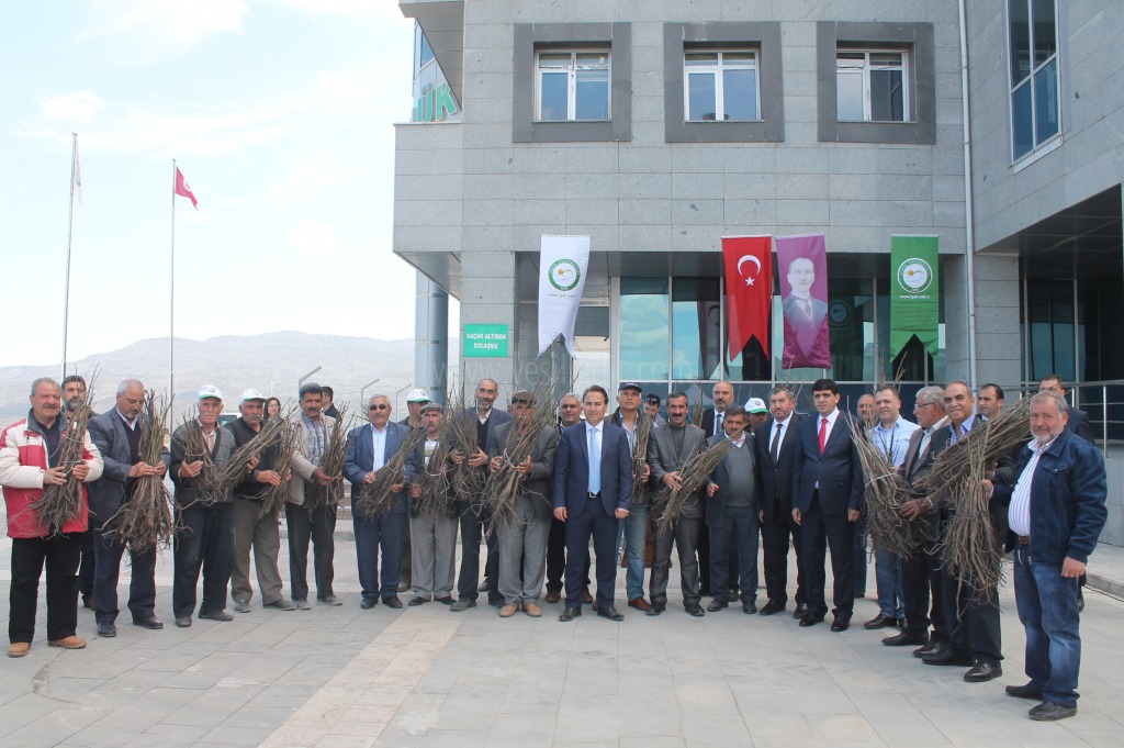 Iğdır Üniversitesi Çiftçilere 750 Ceviz Fidanı Dağıttı