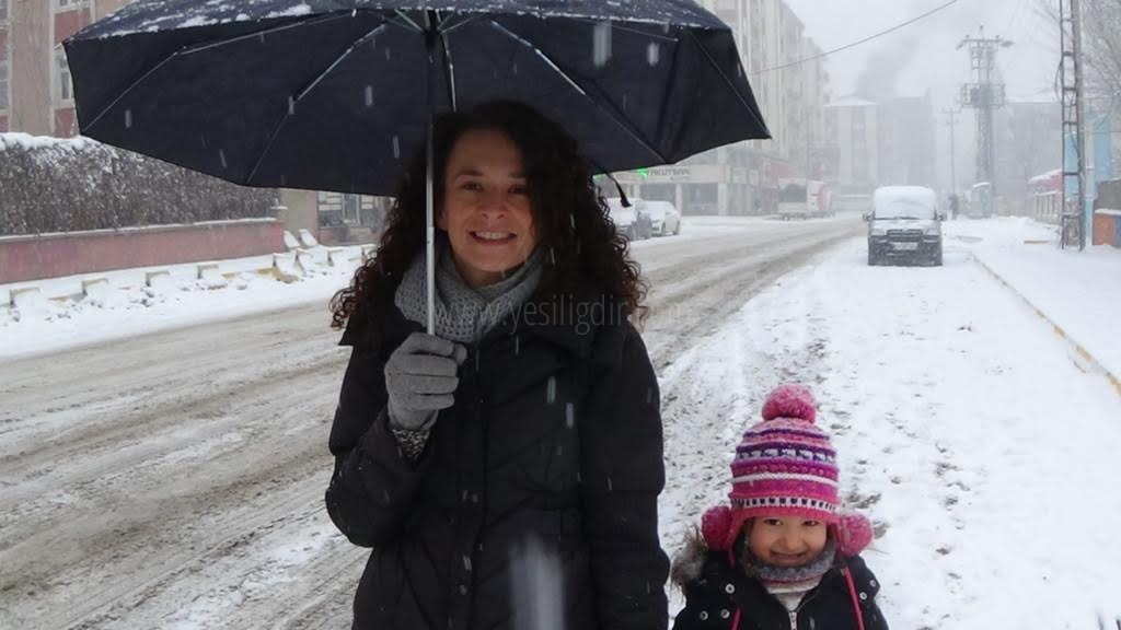 IĞDIRDA 87 KÖY YOLU KAPALI