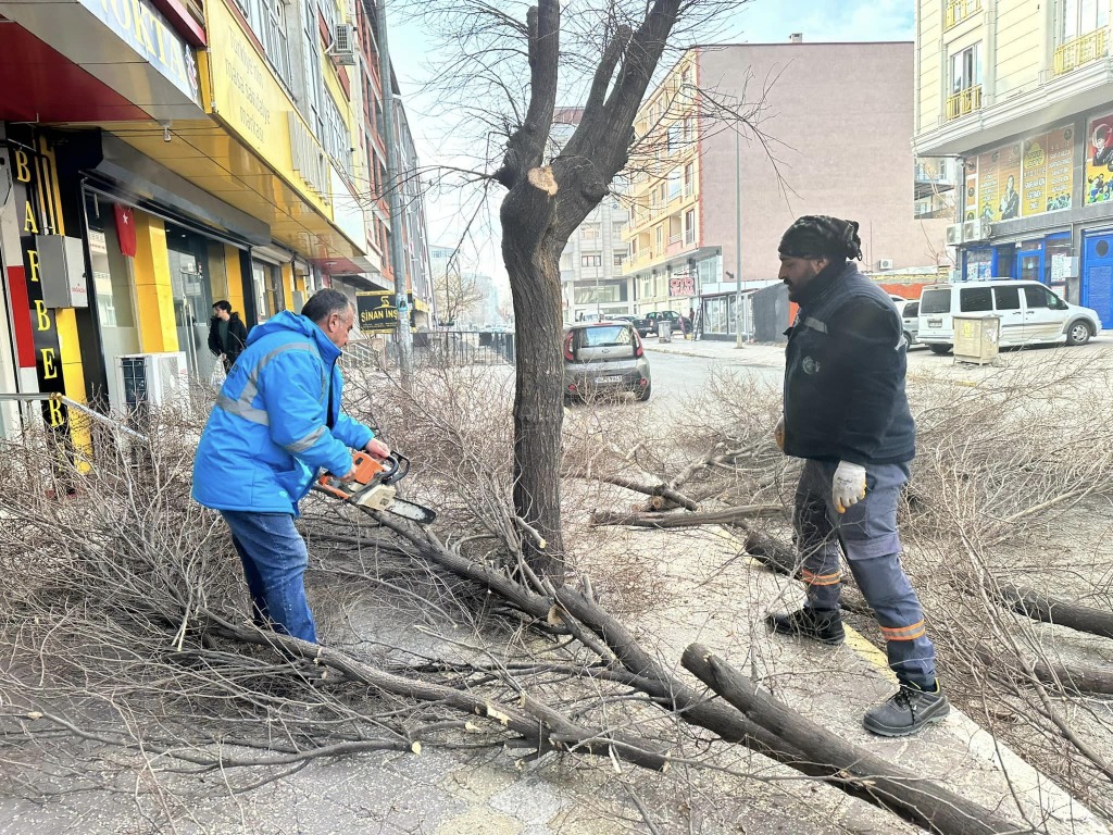 BUDAMA ÇALIŞMALARI DEVAM EDİYOR