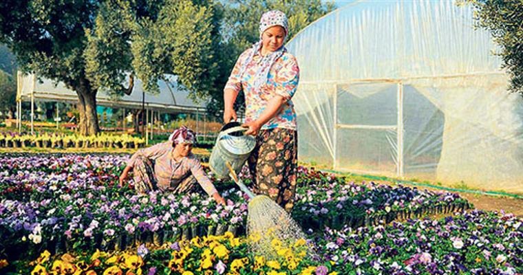 IĞDIRIN AÇAN ÇİÇEKLERİ SODES PROJESİ BAŞLIYOR