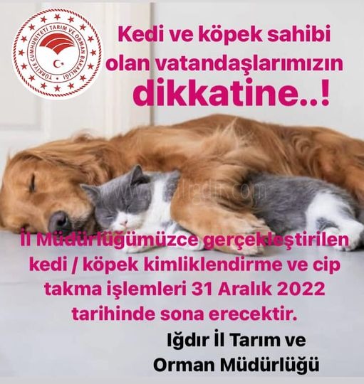 Iğdırda Mikroçip uygulaması başlatıldı