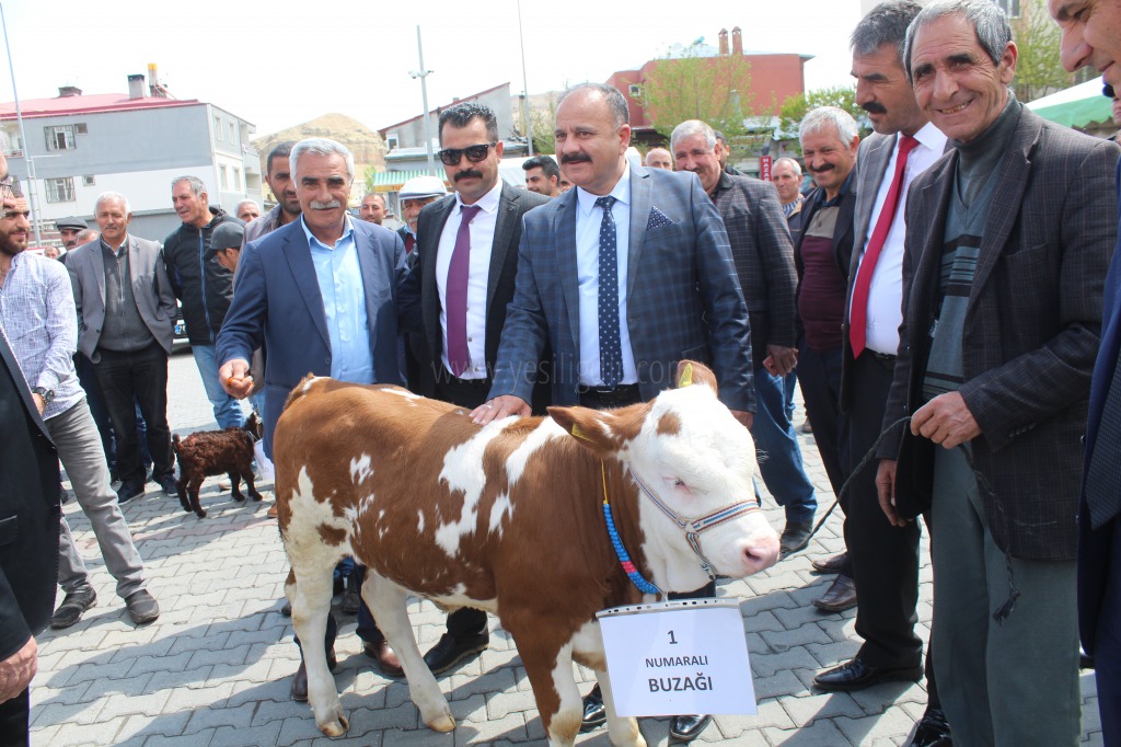 TUZLUCA İLÇEMİZDE 2 BUZAĞI KUZU VE OĞLAK GÜZELLİK YARIŞMASI YAPILDI