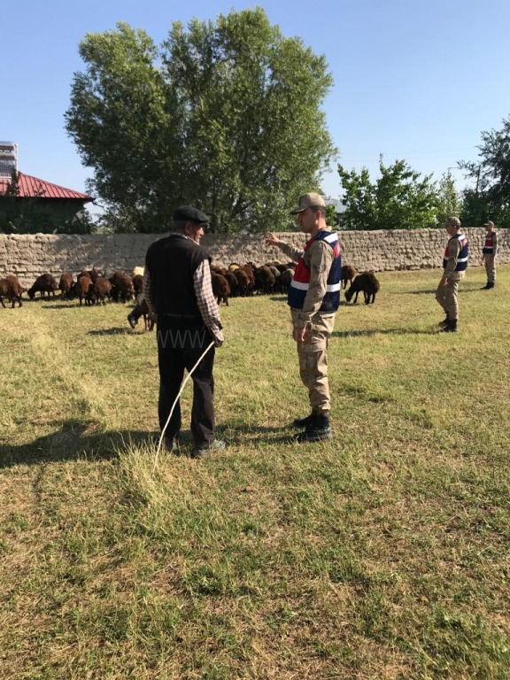 JANDARMA KISA SÜREDE HIRSIZLARI YAKALADI