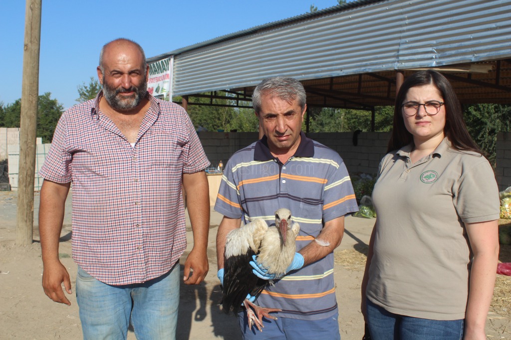 Iğdırda yaralı halde bulunan leyleğin ayağının kangren olduğu belirlendi