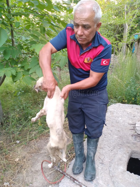 YAVRU KÖPEĞİ İTFAİYE EKİBİ KURTARDI