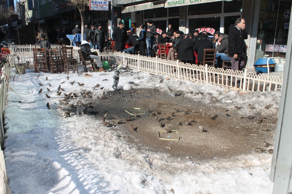 Iğdır'da Güneşli Hava Kendisini gösterdi