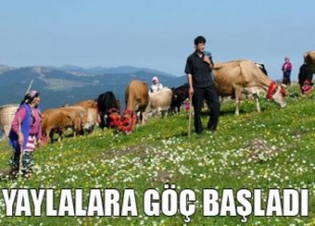 Iğdır'da Yaylalardan Göç Başladı