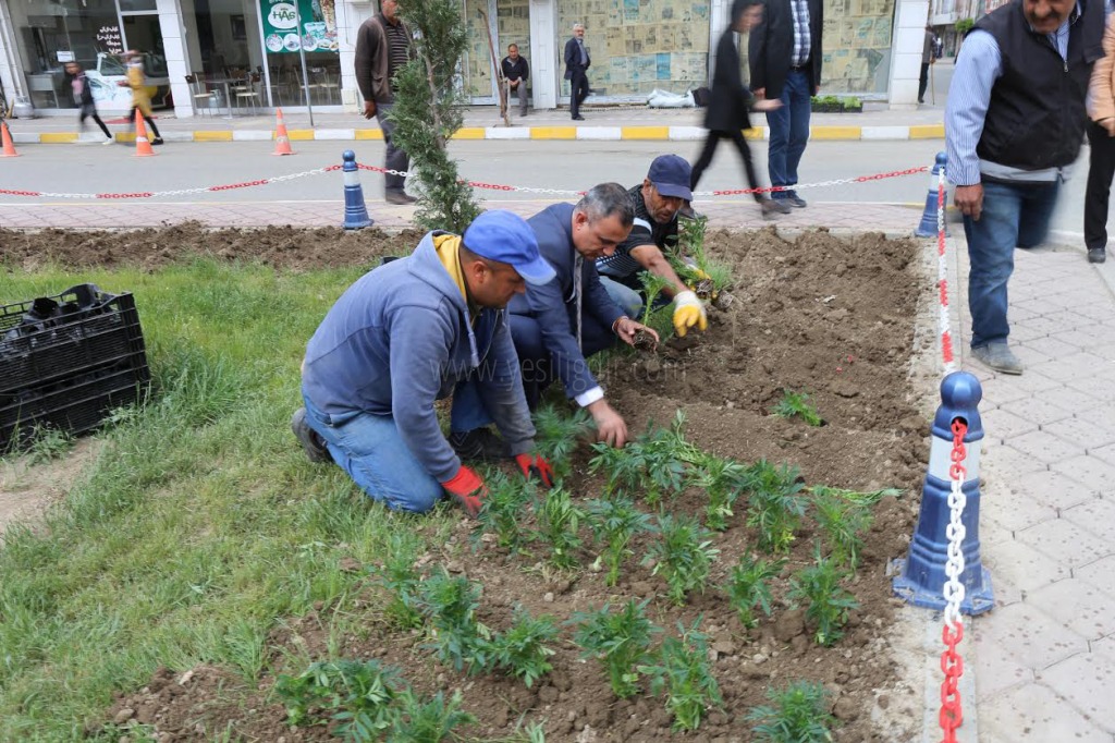 Iğdır Belediyesi Çiçek ekimine Devam Ediyor
